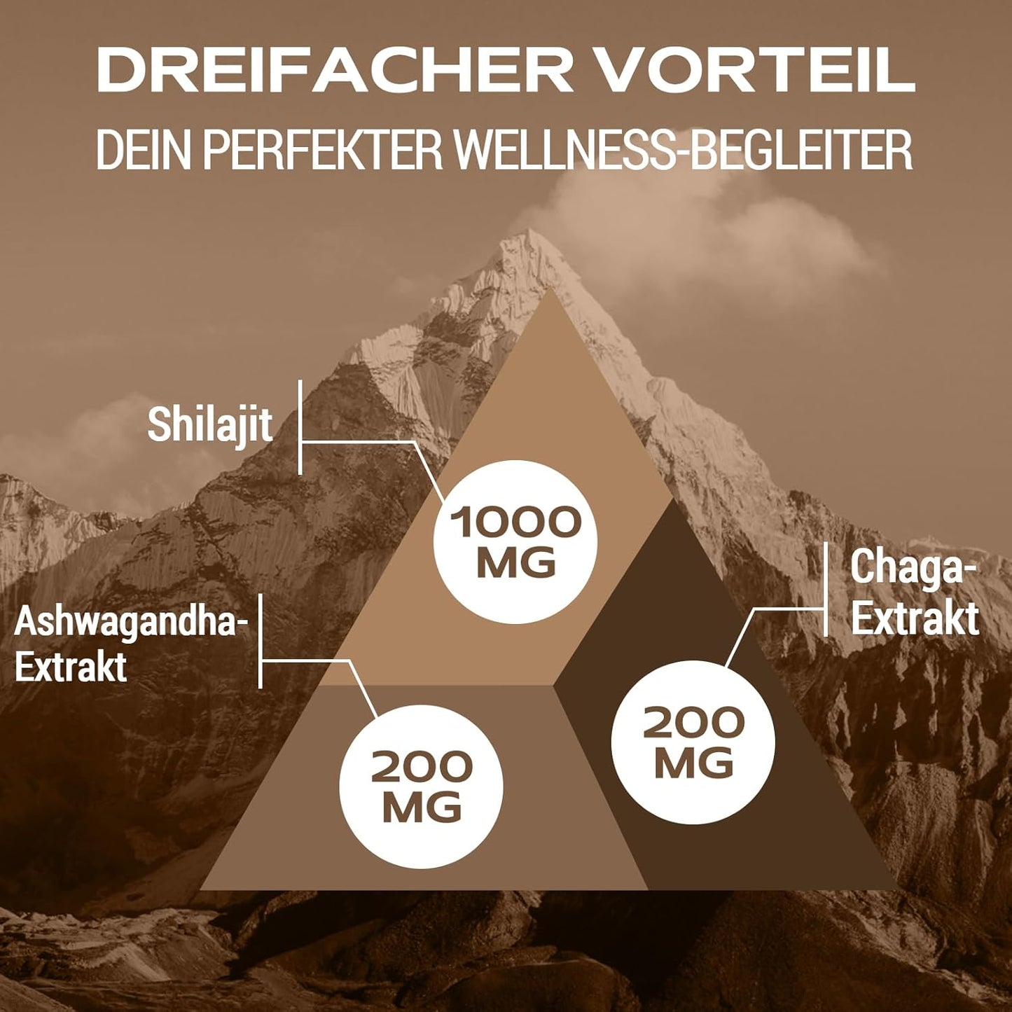 Gomitas De Shilajit 1400Mg Con Chaga Y Ashwagandha, Suplemento Para Hombres Y Mujeres, Rico En 85+ Minerales, Hecho Con Resina Pura Del Himalaya, Sin Azúcar, 120 Gummies