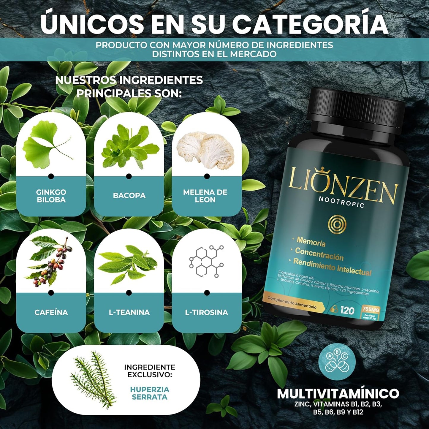 Nootropico Concentrado Para Memoria Y Concentración | +23 Ingredientes Naturales | Bacopa, Ginkgo Biloba, Cafeína, Melena León, Vitaminas, Magnesio, L-Tirosina, Ashwagandha, Ginseng. LIONZEN NOOTROPIC